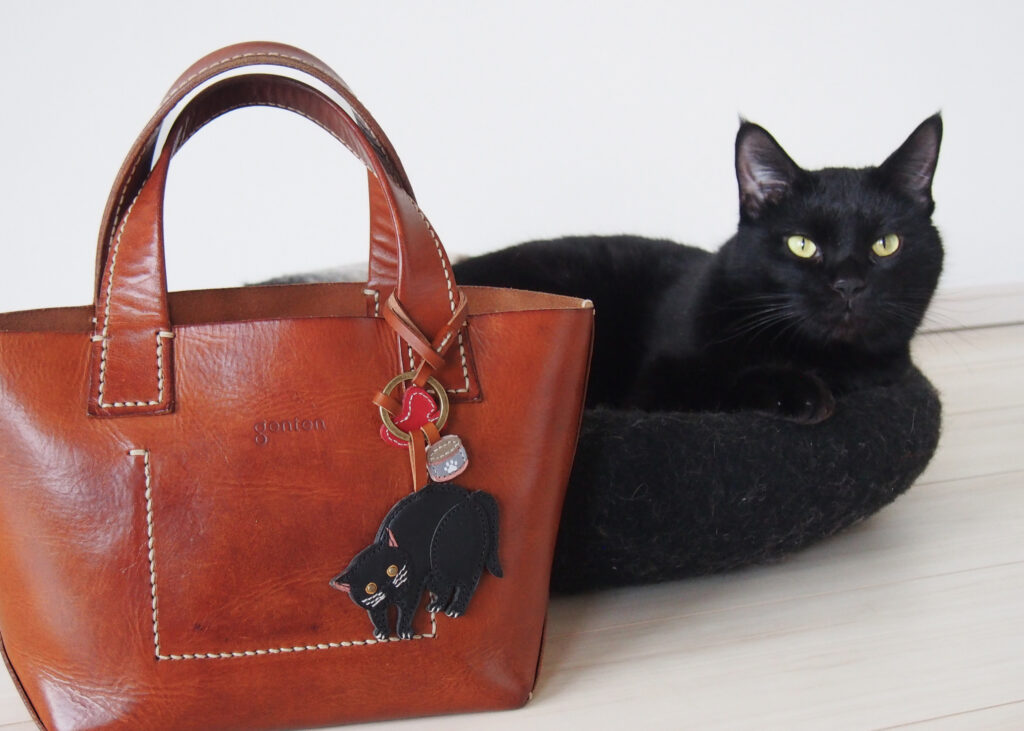 今回の撮影では、昨年に続き保護猫ボランティア団体「みなとねこ」さまにご協力いただきました。 写真の中で愛らしい表情を見せてくれている黒猫も、現在新しい家族を待っている保護猫です。-4